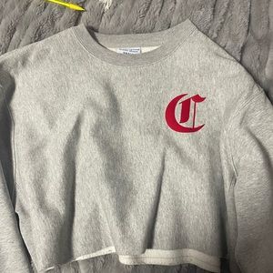 champion cropped hoodie